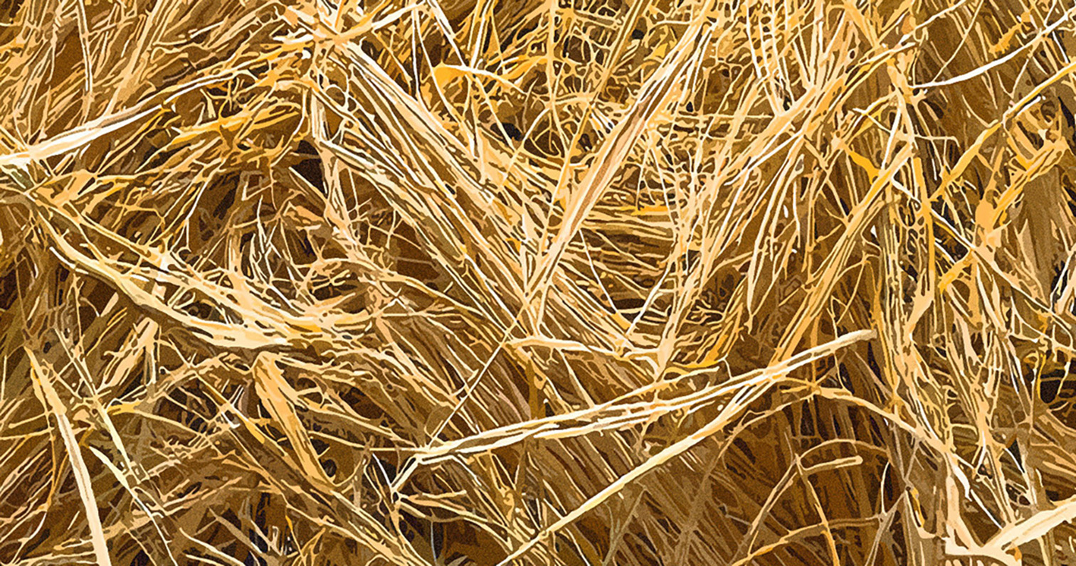 Background Image Option: Dry Hay