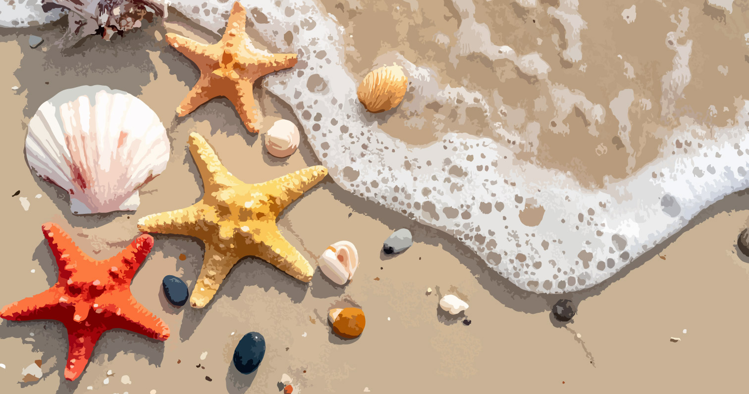 Background Image Option: Sand and Shelfish