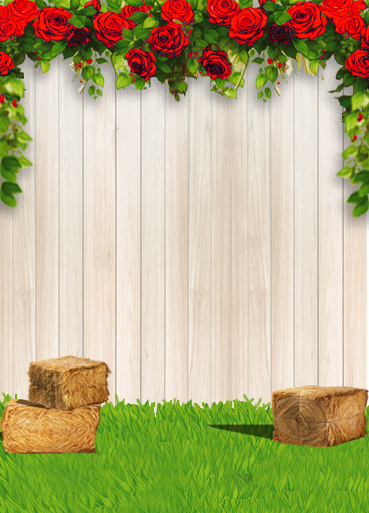 Center Panel Image of Invitation