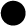 Black Button Option