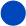 Black Button Option