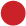 Black Button Option